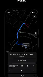 Tesla Robotaxi screenshot