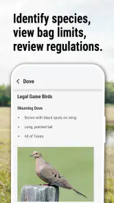 Texas Outdoor Annual screenshot