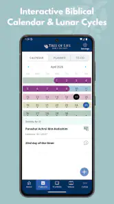 TLV Bible screenshot