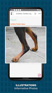 Veterinary Advisor: Dogs Cats screenshot