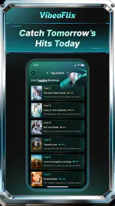 VibeoFlix screenshot