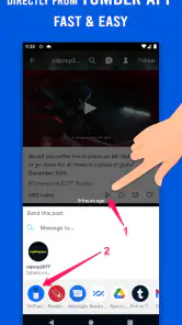 Video Downloader for Tumblr screenshot