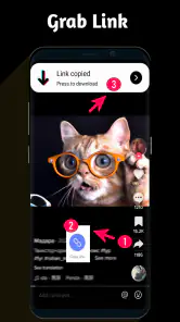 Video Downloader TSaver screenshot