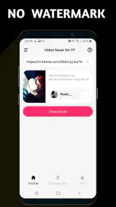 Video Downloader TSaver screenshot