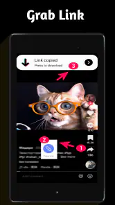 Video Downloader TSaver screenshot