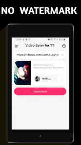 Video Downloader TSaver screenshot