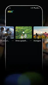 VidVast screenshot