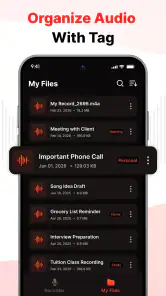 Voice Recorder & Audio Notes screenshot