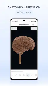 VOKA 3D Anatomy and Physiology screenshot