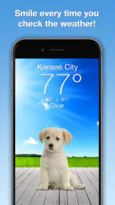 Weather Puppy - App & Widget screenshot