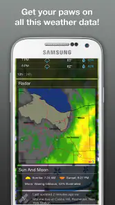 Wildlife Weather screenshot