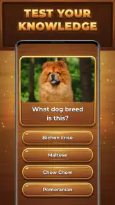 Wood Quiz Blast: Trivia Blocks screenshot