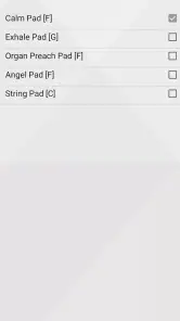 XME LOOPS screenshot
