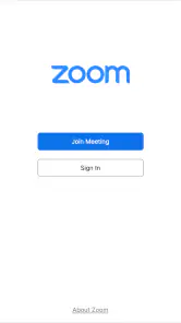 Zoom for Chromebook screenshot