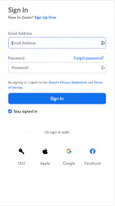 Zoom for Chromebook screenshot