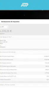 ADP Mobile Solutions screenshot