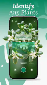 AI Plant Identifier & Care screenshot