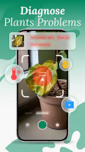 AI Plant Identifier & Care screenshot