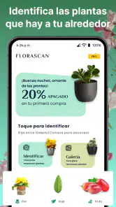 AI Reconocer Plantas Español screenshot