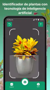 AI Reconocer Plantas Español screenshot