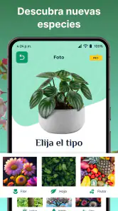 AI Reconocer Plantas Español screenshot