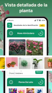 AI Reconocer Plantas Español screenshot