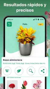 AI Reconocer Plantas Español screenshot