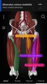 Anatomyka - Anatomía 3D screenshot