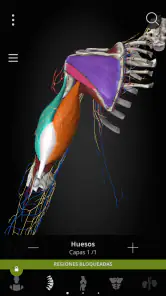 Anatomyka - Anatomía 3D screenshot