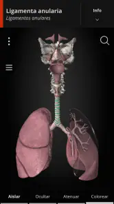 Anatomyka - Anatomía 3D screenshot