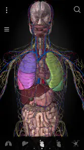 Anatomyka - Anatomía 3D screenshot