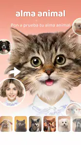 AnimalFace - looksmax ai app screenshot