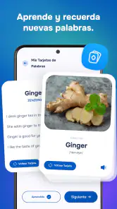 Aprende Idiomas con IA screenshot