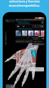 Atlas de anatomía humana 2025 screenshot