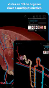 Atlas de anatomía humana 2025 screenshot