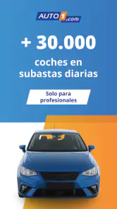AUTO1.com – Subastas B2B screenshot