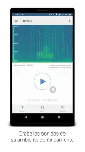 BirdNET screenshot