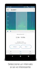 BirdNET screenshot