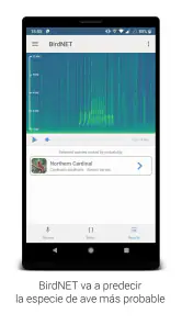 BirdNET screenshot