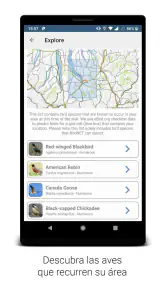 BirdNET screenshot