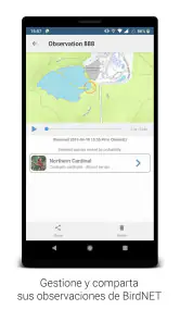 BirdNET screenshot