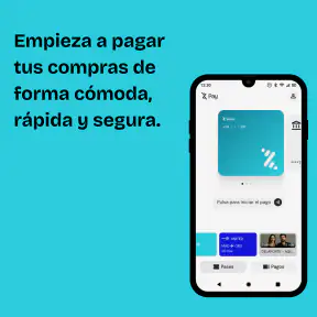 Bizum Pay screenshot