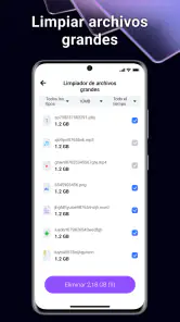 BlazeClean screenshot