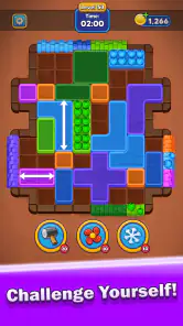 Block Master: Match Puzzle screenshot