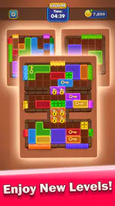 Block Master: Match Puzzle screenshot