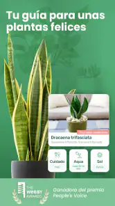 Blossom - Identifique plantas screenshot