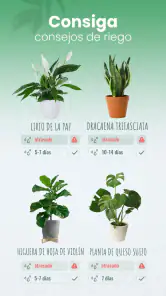 Blossom - Identifique plantas screenshot