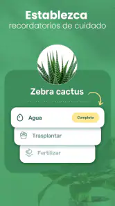 Blossom - Identifique plantas screenshot
