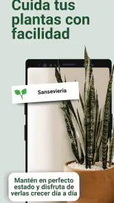 Broticola - Identifica plantas screenshot