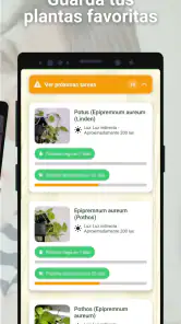 Broticola - Identifica plantas screenshot